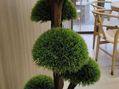 -鲜菌江湖正宗野生菌火锅