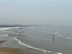 -海之味海鲜大咖·家常菜