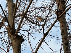 -盘龙城国家考古遗址公园