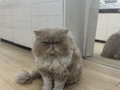 -鑫亮视光·蔡司品牌折扣店·配镜(哈工大科学园店)