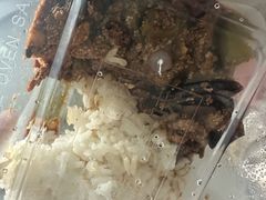 -金鹏鱼肉馆