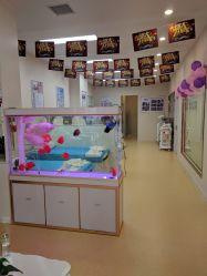 -痘庄科学祛痘国际连锁机构