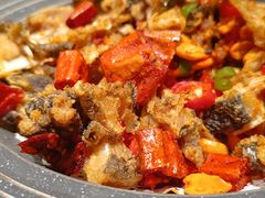 -尚海豆捞(乐虹坊店)