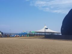 -碧海金沙