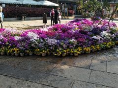 -昆明滇池国家级风景名胜区西山景区