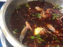 -云溪河冷锅鱼(成都玉林小吃街店)