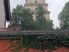 -大慈恩寺(大雁塔)
