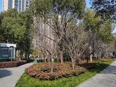 -南翔镇银翔湖公园