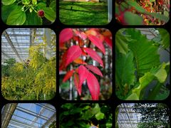 -中国农科院国家农业科技展示园