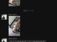 -趣玩宠物乐园寄养训犬训狗游泳池
