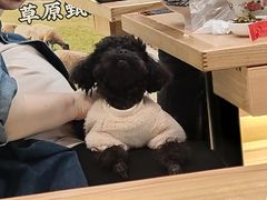 -沈阳铁西万象汇