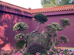 -广州莲花山旅游区