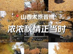 -晋祠公园