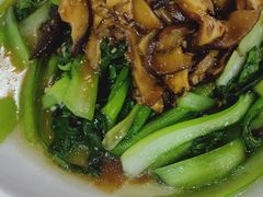 -都江堰石锅鱼