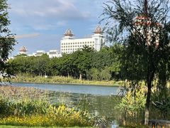 -映月湖公园