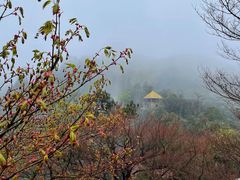 -莫干山风景区