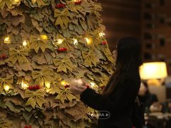 -天津海河悦榕庄·Lobby Lounge大堂吧