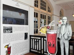 -Long Bar(莱佛士酒店)