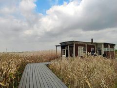 -宁波杭州湾国家湿地公园