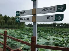 -白洋淀景区