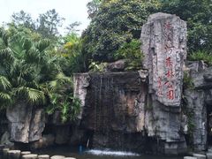 -广州市流溪河国家森林公园