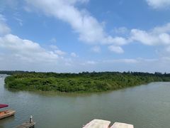 -东寨港红树林旅游区