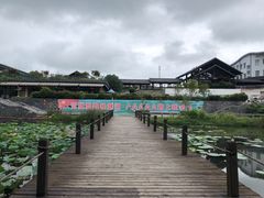 -鄱阳湖国家湿地公园