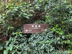 -深圳仙湖植物园