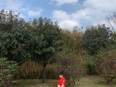 -飞凤山奥体公园