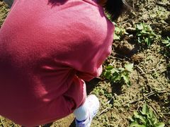 -前小桔亲子创意农场·草莓采摘·露营烧烤