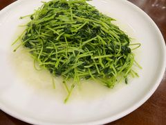 清炒活体豆苗-红灯笼龙凤饭店(宁波老字号店)