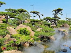 -罗红摄影艺术馆