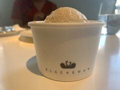 -BLACKSWAN黑天鹅(环球店)