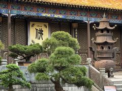 -普陀山风景名胜区-法雨禅寺