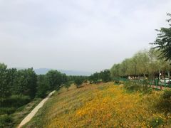-洨河生态公园
