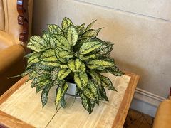 -维也纳酒店(深圳大学城店)