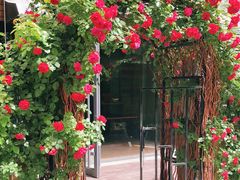 -泉乐坊步行街(烟酒特产平价超市店)