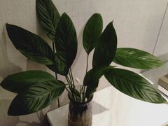 -万颐大酒店