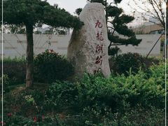 -九龙湖公园