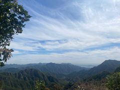 -大岭沟猕猴桃谷风景区