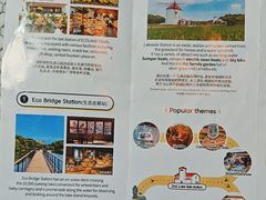 -济州森林小火车生态公园