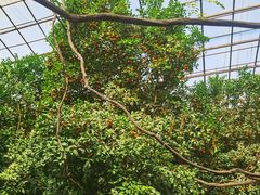 -呀路古热带植物园