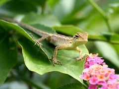 -重庆西南医院(西南院区)