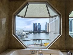 -新加坡丽思卡尔顿美年酒店