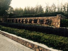 -帐篷客·溪龙茶谷度假酒店
