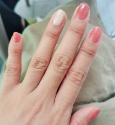 -BELLAREAL新美社