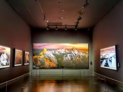 -罗红摄影艺术馆