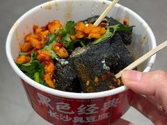 黑色经典长沙臭豆腐-黑色经典臭豆腐·湖南特产(坡子街特产局店)