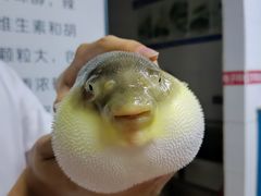 -永安鱼庄·镇江菜(丁卯店)