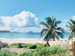-亚龙湾热带天堂森林公园